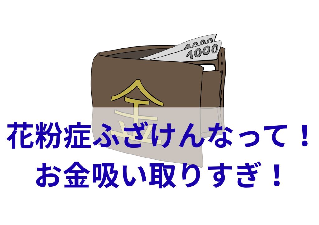 お金がない！？花粉症が原因で稼ぐ力が失われ支出も激ヤバだってばよ