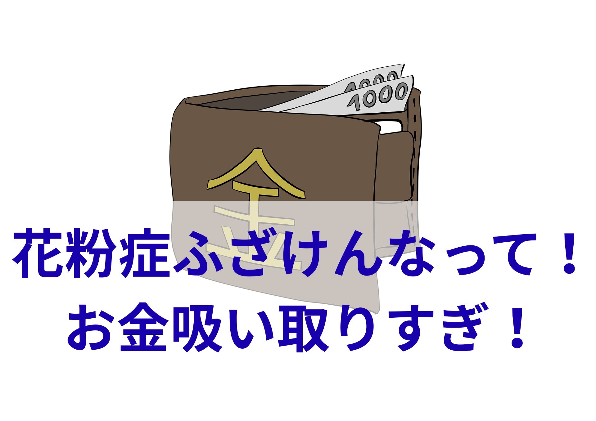 お金がない！？花粉症が原因で稼ぐ力が失われ支出も激ヤバだってばよ