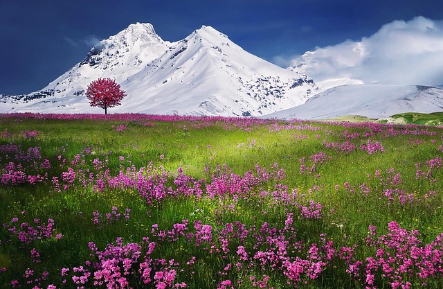 ととのいの風景