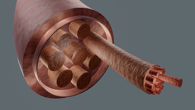 筋肉繊維の画像